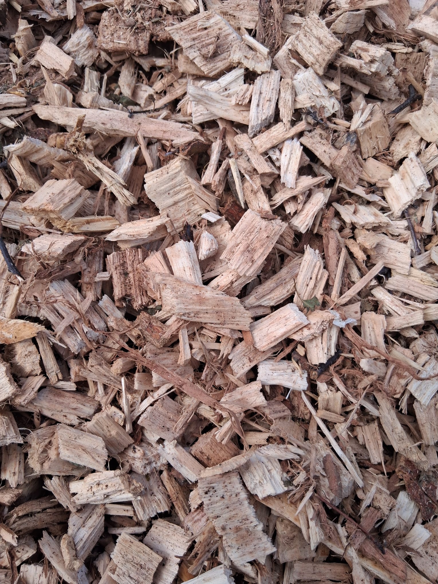 Wood Chippings